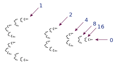 The 2-adic integers. Showing all of the 2-adic rationals would include an infinite sequence of clumps moving to the left of the figure.