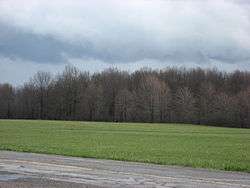 Overview of the McGuffey Boyhood Home Site