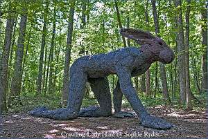 Crawling Lady Hare
